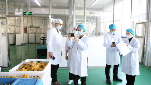 大連自貿片區推出食品生產加工“5G+AR”智慧監管新模式，賦能健康管理與咨詢